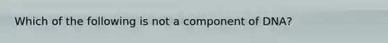 Which of the following is not a component of DNA?