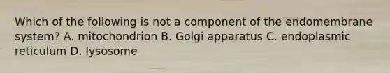 Which of the following is not a component of the endomembrane system? A. mitochondrion B. Golgi apparatus C. endoplasmic reticulum D. lysosome