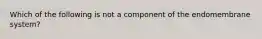 Which of the following is not a component of the endomembrane system?