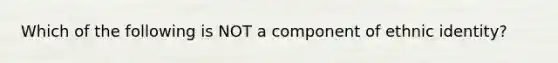 Which of the following is NOT a component of ethnic identity?