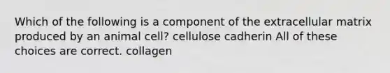 Which of the following is a component of the extracellular matrix produced by an animal cell? cellulose cadherin All of these choices are correct. collagen