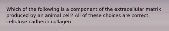 Which of the following is a component of the extracellular matrix produced by an animal cell? All of these choices are correct. cellulose cadherin collagen