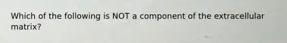 Which of the following is NOT a component of the extracellular matrix?