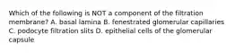 Which of the following is NOT a component of the filtration membrane? A. basal lamina B. fenestrated glomerular capillaries C. podocyte filtration slits D. epithelial cells of the glomerular capsule