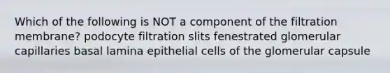 Which of the following is NOT a component of the filtration membrane? podocyte filtration slits fenestrated glomerular capillaries basal lamina epithelial cells of the glomerular capsule