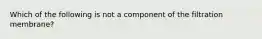 Which of the following is not a component of the filtration membrane?