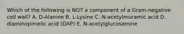 Which of the following is NOT a component of a Gram-negative cell wall? A. D-Alanine B. L-Lysine C. N-acetylmuramic acid D. diaminopimelic acid (DAP) E. N-acetylglucosamine