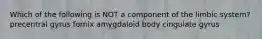 Which of the following is NOT a component of the limbic system? precentral gyrus fornix amygdaloid body cingulate gyrus