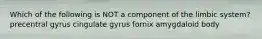 Which of the following is NOT a component of the limbic system? precentral gyrus cingulate gyrus fornix amygdaloid body