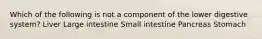 Which of the following is not a component of the lower digestive system? Liver Large intestine Small intestine Pancreas Stomach