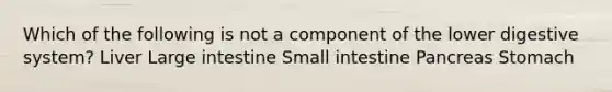 Which of the following is not a component of the lower digestive system? Liver Large intestine Small intestine Pancreas Stomach