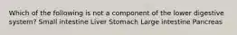 Which of the following is not a component of the lower digestive system? Small intestine Liver Stomach Large intestine Pancreas