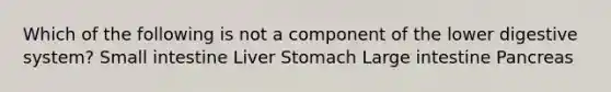 Which of the following is not a component of the lower digestive system? Small intestine Liver Stomach Large intestine Pancreas