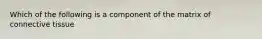 Which of the following is a component of the matrix of connective tissue