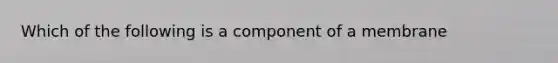 Which of the following is a component of a membrane