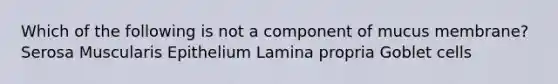 Which of the following is not a component of mucus membrane? Serosa Muscularis Epithelium Lamina propria Goblet cells