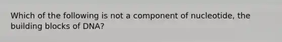 Which of the following is not a component of nucleotide, the building blocks of DNA?