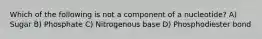 Which of the following is not a component of a nucleotide? A) Sugar B) Phosphate C) Nitrogenous base D) Phosphodiester bond