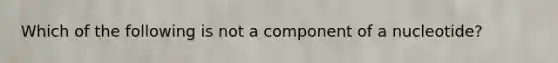 Which of the following is not a component of a nucleotide?