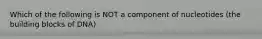 Which of the following is NOT a component of nucleotides (the building blocks of DNA)