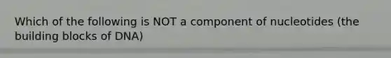 Which of the following is NOT a component of nucleotides (the building blocks of DNA)