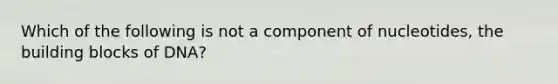 Which of the following is not a component of nucleotides, the building blocks of DNA?