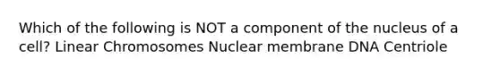 Which of the following is NOT a component of the nucleus of a cell? Linear Chromosomes Nuclear membrane DNA Centriole