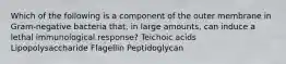 Which of the following is a component of the outer membrane in Gram-negative bacteria that, in large amounts, can induce a lethal immunological response? Teichoic acids Lipopolysaccharide Flagellin Peptidoglycan