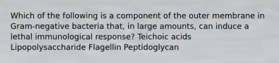 Which of the following is a component of the outer membrane in Gram-negative bacteria that, in large amounts, can induce a lethal immunological response? Teichoic acids Lipopolysaccharide Flagellin Peptidoglycan