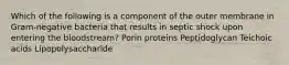 Which of the following is a component of the outer membrane in Gram-negative bacteria that results in septic shock upon entering the bloodstream? Porin proteins Peptidoglycan Teichoic acids Lipopolysaccharide