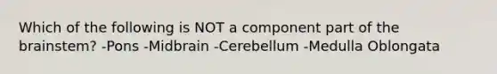Which of the following is NOT a component part of the brainstem? -Pons -Midbrain -Cerebellum -Medulla Oblongata