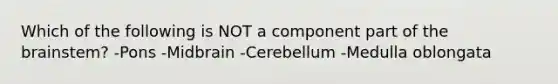 Which of the following is NOT a component part of the brainstem? -Pons -Midbrain -Cerebellum -Medulla oblongata