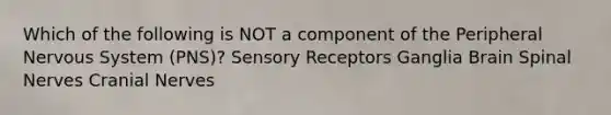 Which of the following is NOT a component of the Peripheral Nervous System (PNS)? Sensory Receptors Ganglia Brain <a href='https://www.questionai.com/knowledge/kyBL1dWgAx-spinal-nerves' class='anchor-knowledge'>spinal nerves</a> <a href='https://www.questionai.com/knowledge/kE0S4sPl98-cranial-nerves' class='anchor-knowledge'>cranial nerves</a>