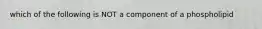 which of the following is NOT a component of a phospholipid