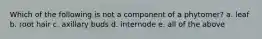 Which of the following is not a component of a phytomer? a. leaf b. root hair c. axillary buds d. internode e. all of the above