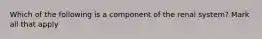 Which of the following is a component of the renal system? Mark all that apply