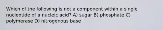 Which of the following is not a component within a single nucleotide of a nucleic acid? A) sugar B) phosphate C) polymerase D) nitrogenous base