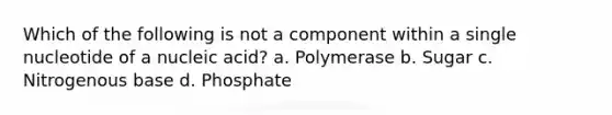 Which of the following is not a component within a single nucleotide of a nucleic acid? a. Polymerase b. Sugar c. Nitrogenous base d. Phosphate