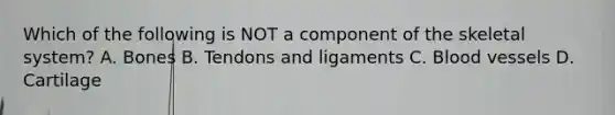 Which of the following is NOT a component of the skeletal system? A. Bones B. Tendons and ligaments C. Blood vessels D. Cartilage