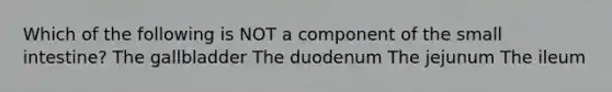 Which of the following is NOT a component of the small intestine? The gallbladder The duodenum The jejunum The ileum