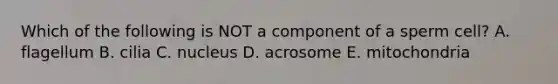 Which of the following is NOT a component of a sperm cell? A. flagellum B. cilia C. nucleus D. acrosome E. mitochondria