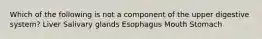 Which of the following is not a component of the upper digestive system? Liver Salivary glands Esophagus Mouth Stomach