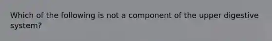 Which of the following is not a component of the upper digestive system?