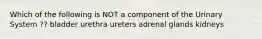 Which of the following is NOT a component of the Urinary System ?? bladder urethra ureters adrenal glands kidneys