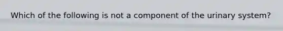 Which of the following is not a component of the urinary system?