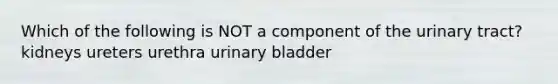 Which of the following is NOT a component of the urinary tract? kidneys ureters urethra urinary bladder