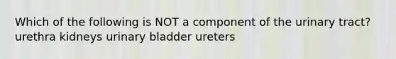 Which of the following is NOT a component of the urinary tract? urethra kidneys urinary bladder ureters