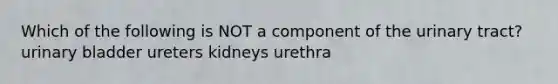 Which of the following is NOT a component of the urinary tract? <a href='https://www.questionai.com/knowledge/kb9SdfFdD9-urinary-bladder' class='anchor-knowledge'>urinary bladder</a> ureters kidneys urethra