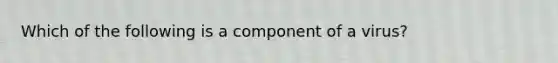 Which of the following is a component of a virus?