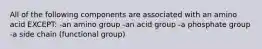 All of the following components are associated with an amino acid EXCEPT: -an amino group -an acid group -a phosphate group -a side chain (functional group)